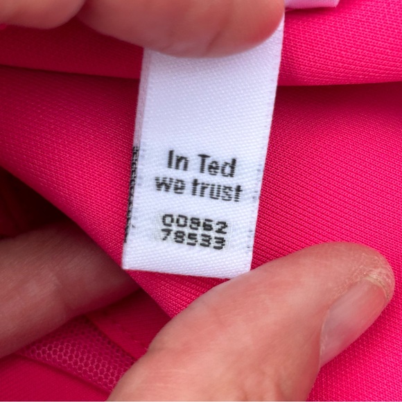 Ted Baker Sharlot Fit & Flare Pink Cap Sleeve Mesh Panel Dress | Size Medium - Picture 13 of 16